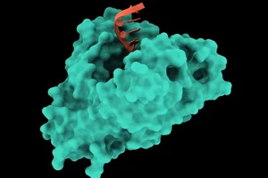 Ansa Biotechnologies