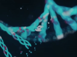 Epinoma