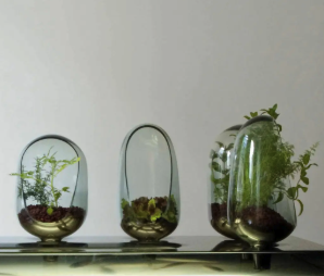 Epoch BioDesign