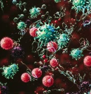 Exogene