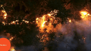 Torch Systems